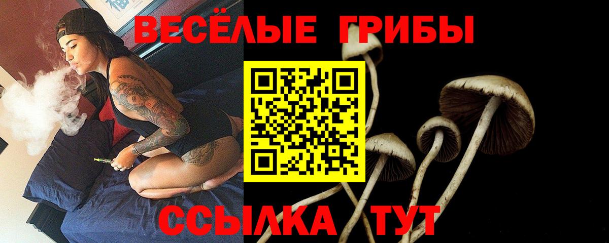 Псилоцибиновые грибы MAGIC MUSHROOMS  Вход с VPN  Урай  Галлюциногенные грибы Psilocybe 