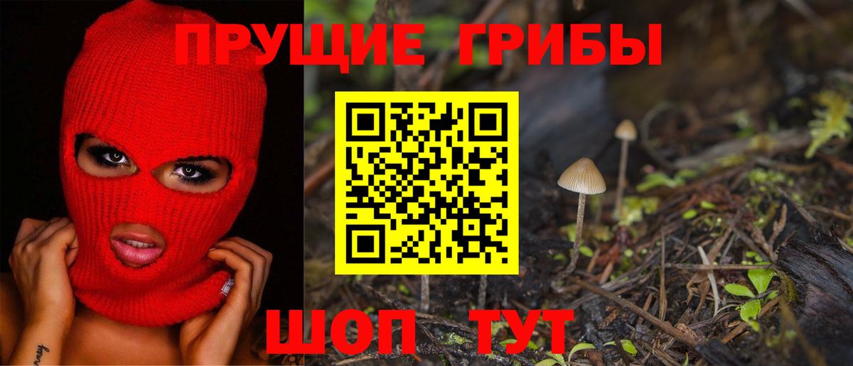 Галлюциногенные грибы Cubensis Урай